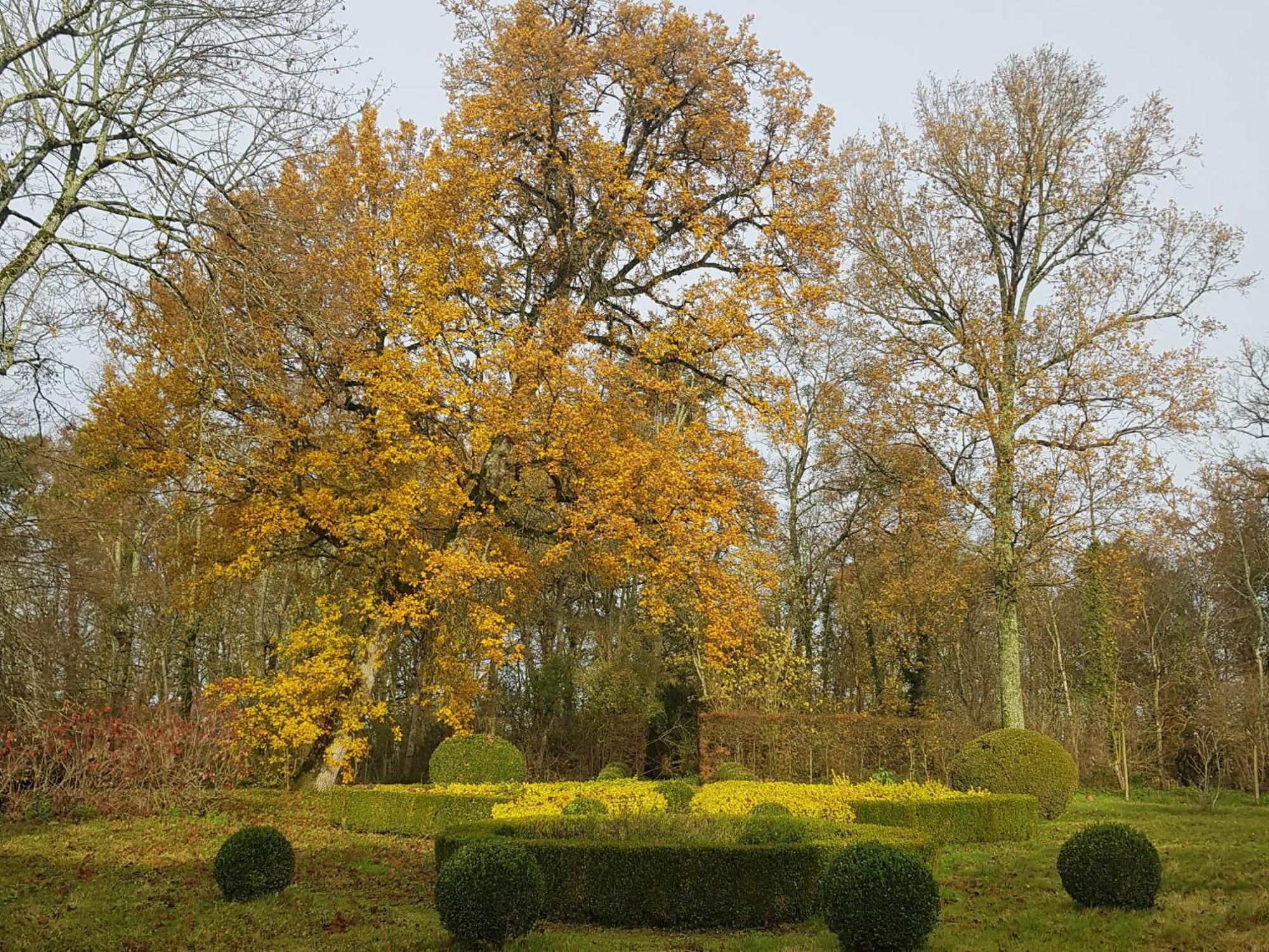 La Taille De Biou Bed & Breakfast Huisseau-sur-Cosson Exterior photo